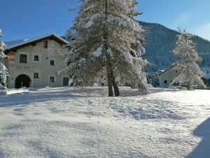 Apartment Chesa Chanella 5 by Interhome