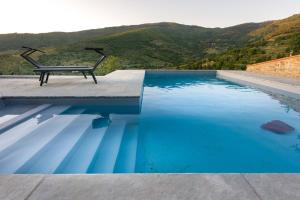 fringuello - Mandorlo