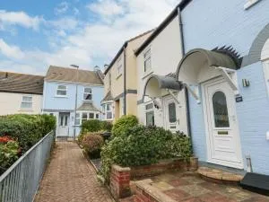 Little Tern - Rodwell