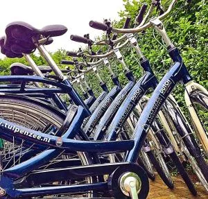 Bungalow 6p - Noordwijk