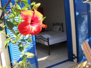 Porto Kastri Studios