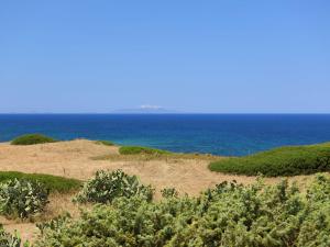 Apartment Ananas 3 B by Interhome img16