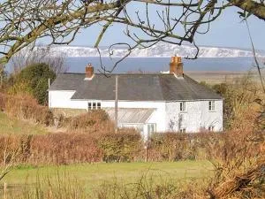 Sweet Briars - Chale