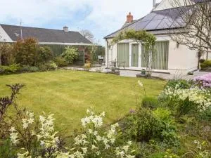 The Swallows - Dinas