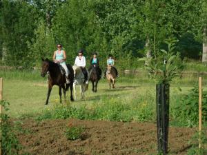 B&B / Chambres d'hotes Le Chateau de Roquebere : photos des chambres