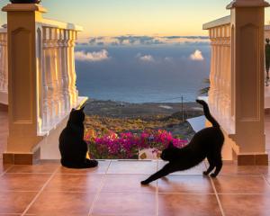 CASANTILVIA heated pool paradise