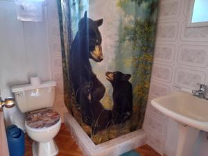 cabaña de campo y descanso, vista al volcán aiconsur