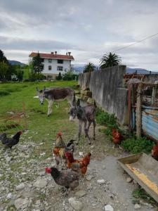 Agroturismo Pagoederraga