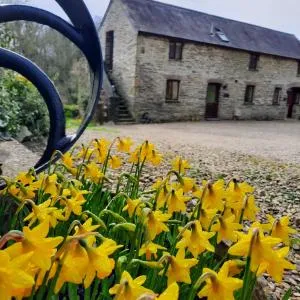 Troedyrhiw Holiday Cottages - Cardigan