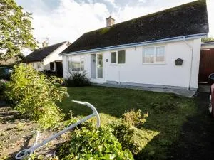 Salty Puffin - Llandyfrydog