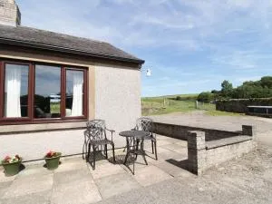 Acorns - 布兰普顿