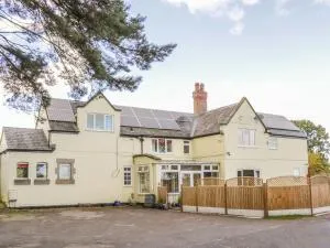 Station House - Halston