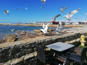 B&B / Chambres d'hotes La Rose des Mers : photos des chambres