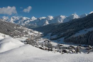 Appartements Studio Bel'Alp : photos des chambres