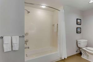 Standard Queen Room with Two Queen Beds - Non Smoking  room in Comfort Inn