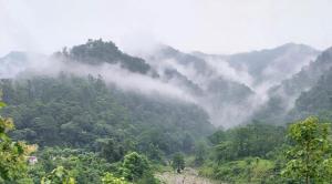 Creek Forest - Riverside Boutique Resort