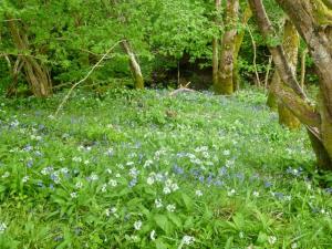 Hendre Aled Cottage 3