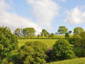 Hendre Aled Cottage 3