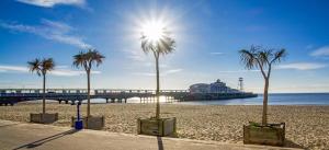 Top Floor Sandbanks Apartment with Free Parking just minutes from the Beach and Bars