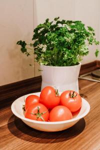 Gemütliche FeWo mit Balkon