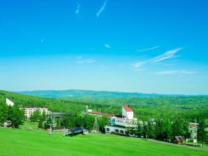 obrázek - Rusutsu Resort Hotel & Convention