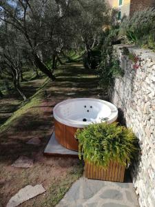 Cà del Mago Pool garden & spa, only adults