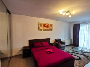 Contemporary central apartment in Cluj Napoca