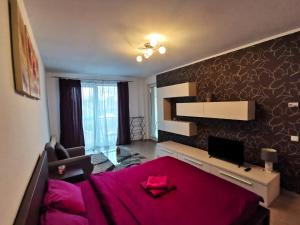 Contemporary central apartment in Cluj Napoca