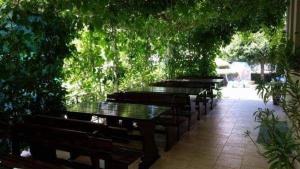 semeen hotel Afrikana