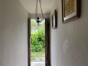 Rio Natureza apart 105