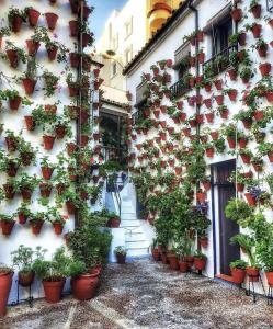 Vivienda Turística en Alcázar Viejo San Basilio