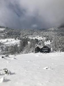 Luxury mountain loft
