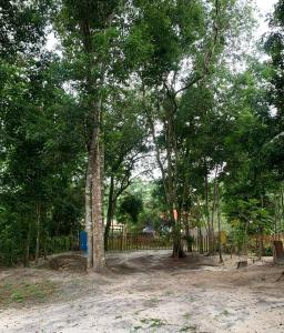 Chalés Cumuruxatiba