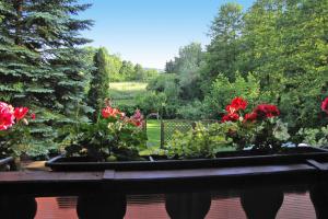 Detached cottage with a large garden, 200m from the lake, Bogacko-ex TUI