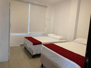 New Apartment in Galapagos, Santa Cruz island