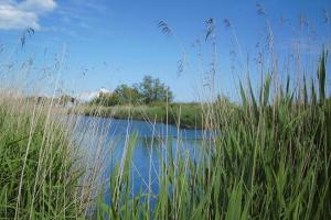 Appartements Apartment in Ghisonaccia near Sandy Beach : photos des chambres