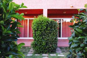 Appartements Apartment in Ghisonaccia near Sandy Beach : photos des chambres