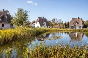 Ferienhaus Schilfrohrsaenger 31