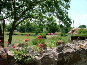 B&B / Chambres d'hotes Domaine de La Madeleine : photos des chambres