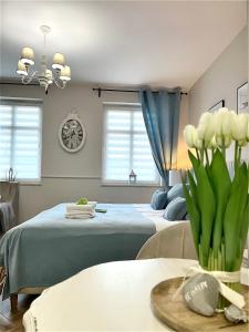 Apartamenty Kamienica Arte 4