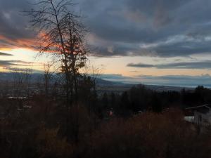 Ferienwohnung Bodenseeblick