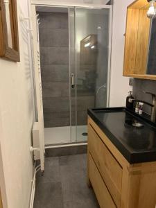 Appartements Les Deux Alpes, Le Lauvitel, appartement cosy, pied des pistes, 2 adultes 2 enfants : photos des chambres