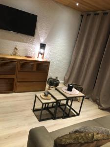 Les Deux Alpes, Le Lauvitel, appartement cosy, pied des pistes, 2 adultes 2 enfants