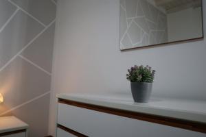 Il Pentagono Home