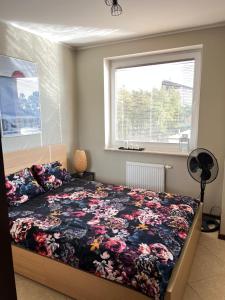 Apartament Jasna
