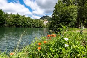 Campings Camping maeva Escapades Millau Plage : photos des chambres