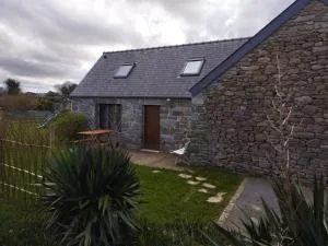 Ty Vihan - Плугерно