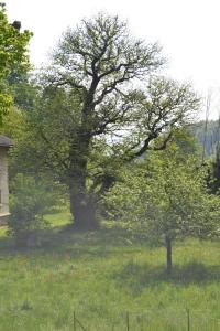 Hotels L'Echo des Montagnes : Chambre Triple