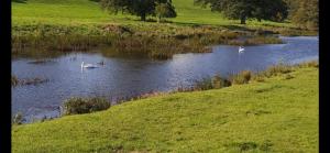 Amble Holiday Home