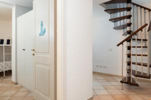 Myrsine 9D - Klodge img12